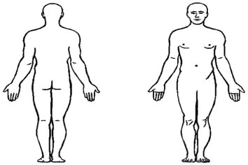 Partile corpului-vedere din spate. Parts of the body- back view